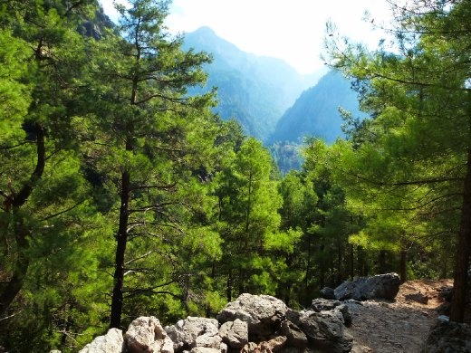 Samaria Gorge