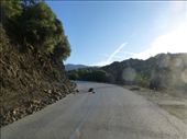 Just one of the boulders trying to prevent us getting to the Albanian border, can it get much worse? YES!!!!!!!: by jamesandjulie, Views[339]