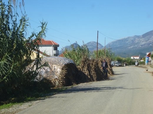 Country scenes before the border into Montenegro