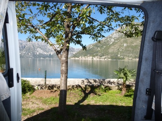 View from inside Dusty at campground