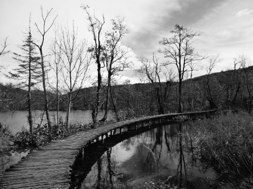 James's national geographic shot