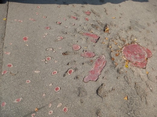 Sarajevo rose. Motar holes