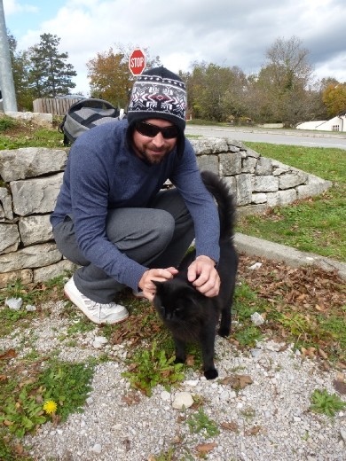 Cat that looked like snuggle-bum, but more vicious