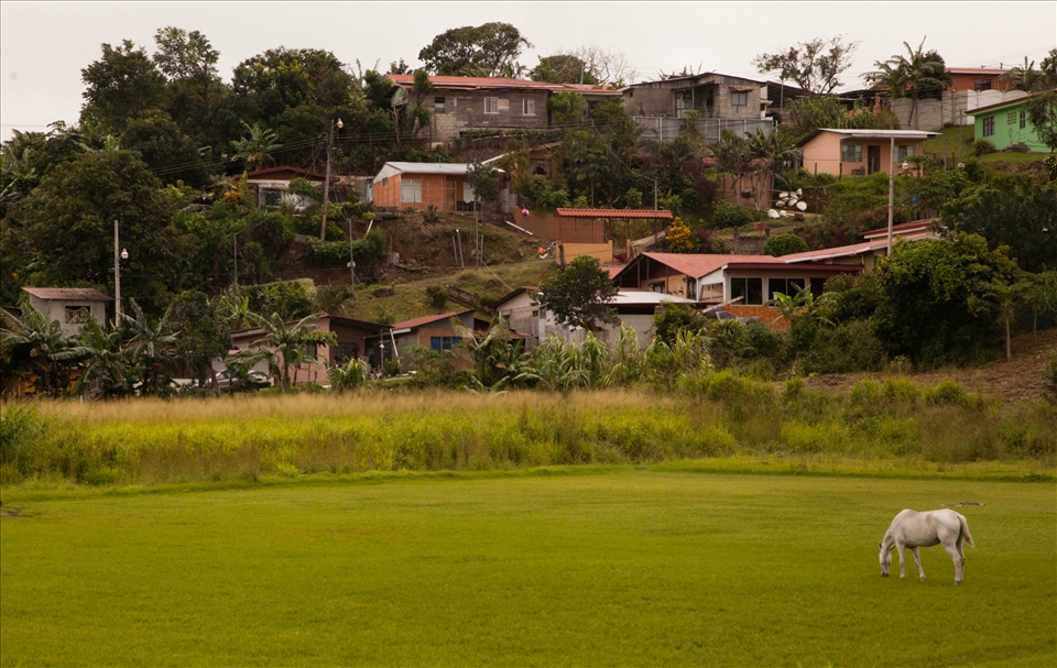 A horse grazing on a soccer field in Tilaran