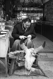 A Chinese artisan working a piece of bone into a comb for a tourist market in the outskirts of Suzhou: by jamesnixon, Views[335]