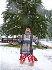 by jamesshanks, Views[513]