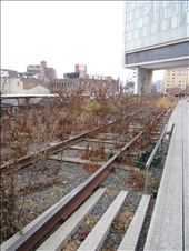 by jamesshanks, Views[137]