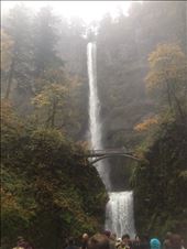 Multnomah Falls: by jamesthehuman, Views[214]
