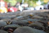 Fall. The leaves litter the cobblestone streets, and a new season is welcomed to the town. Signs of winter come quickly and fall never seems to last quite long enough. Literally, picturesque.: by jamielauder, Views[389]