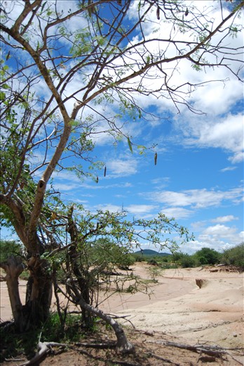 Dry into the wet season!