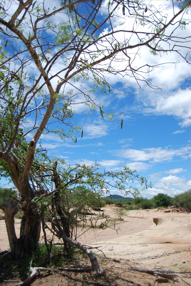 Dry into the wet season!