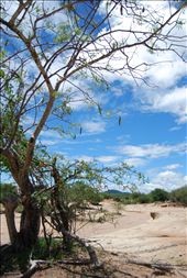 Dry into the wet season!: by jamiewhittlenewquay, Views[262]