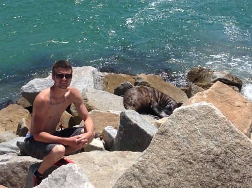 Narooma inlet- seal came onto the rocks to say hi