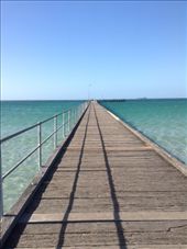 Rye pier: by jamirieder, Views[532]