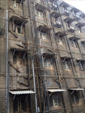 Andamios indios: by jamorosmira, Views[174]