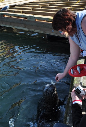 Friend of the marina