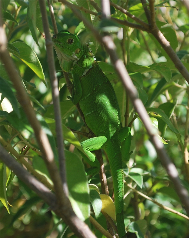 Too good at this game!