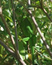 Too good at this game!: by janebutler, Views[246]