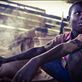 Human Rights Watch cover; 13-year-old boy works in artisanal small-scale mining by: janellemeager Views[159]