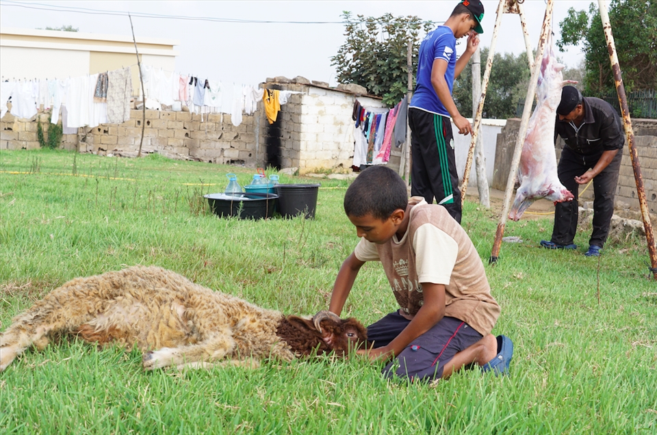 While we waited for our sheep to be skinned for us, another sheep was getting prepared for sacrifice. Our sheep had bleated a lot before hand, but this one was quiet like he had accepted his fate. 