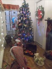 Holiday Village in Brownsville: by janicemorris, Views[159]