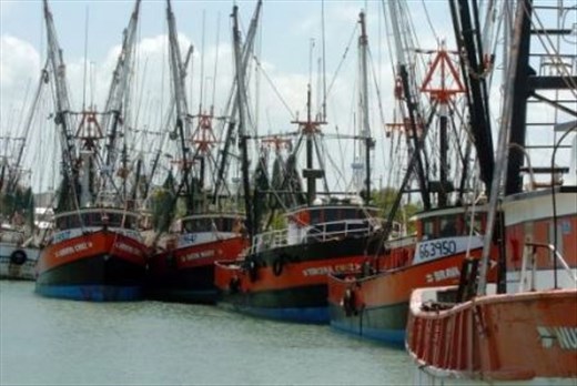 Texas Trawling Shrimp Boats