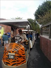 Gladys Porter Zoo Tram: by janicemorris, Views[176]