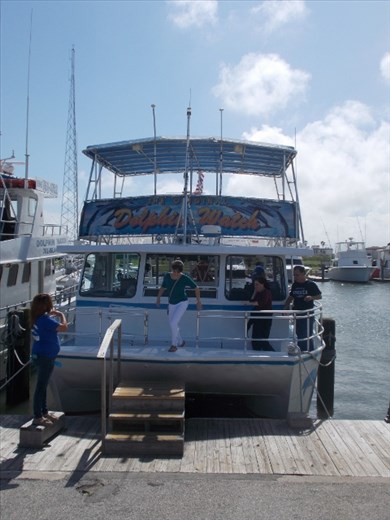Dolphin Watch Eco Tour out of South Padre Island