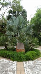 Hilltop Gardens: by janicemorris, Views[110]