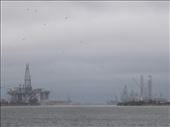 Port of Brownsville where aircraft carriers are decommissioned: by janicemorris, Views[187]