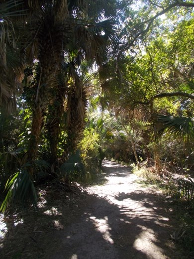 The Sabal Palm Sanctuary