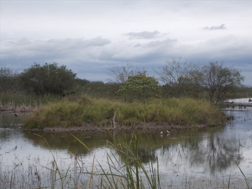 Estero Llano Grande State Park