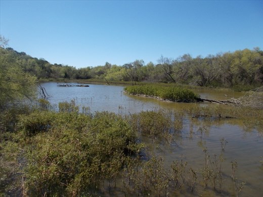 The Sabal Palm Sanctuary