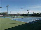Tennis Courts: by janicemorris, Views[136]