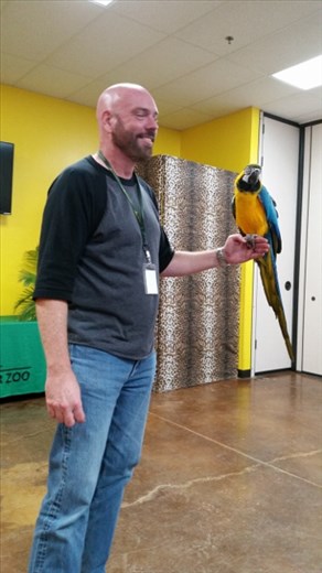 Joe having a conversation with the parrot