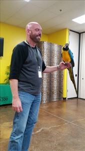 Joe having a conversation with the parrot: by janicemorris, Views[171]