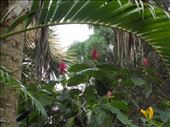 Hilltop Gardens: by janicemorris, Views[127]
