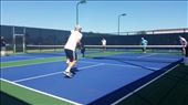 Pickleball Courts: by janicemorris, Views[147]