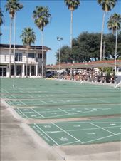 Shuffleboard Courts: by janicemorris, Views[167]