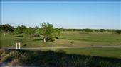 Golf Course: by janicemorris, Views[140]