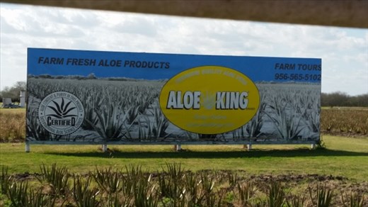 Aloe King Farm