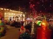Winter Wonderland: by janicemorris, Views[149]