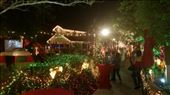 Winter Wonderland: by janicemorris, Views[169]