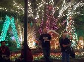 Winter Wonderland: by janicemorris, Views[153]