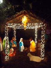 Winter Wonderland: by janicemorris, Views[149]