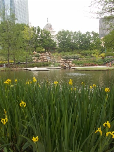 The Myriad Botanical Gardens