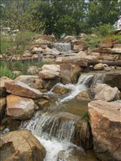 The Myriad Botanical Gardens: by janicemorris, Views[156]