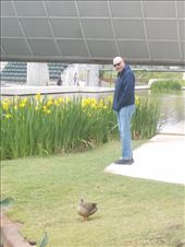 The Myriad Botanical Gardens: by janicemorris, Views[114]