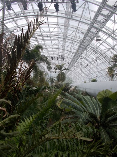 Inside the Crystal Bridge Tropical Conservatory