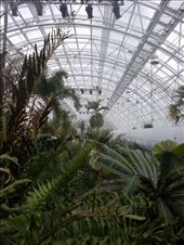 Inside the Crystal Bridge Tropical Conservatory: by janicemorris, Views[109]